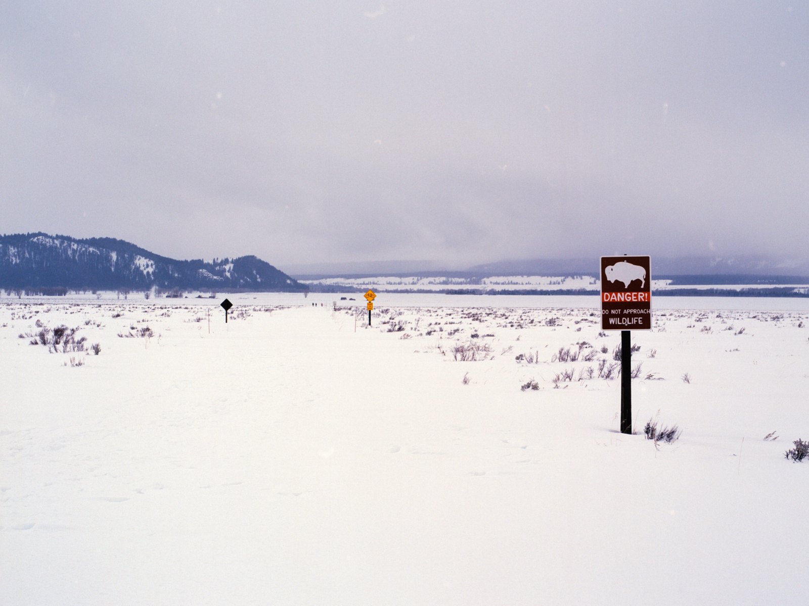 264689-19220236-JacksonHoleFeb201614_jpg1.jpg